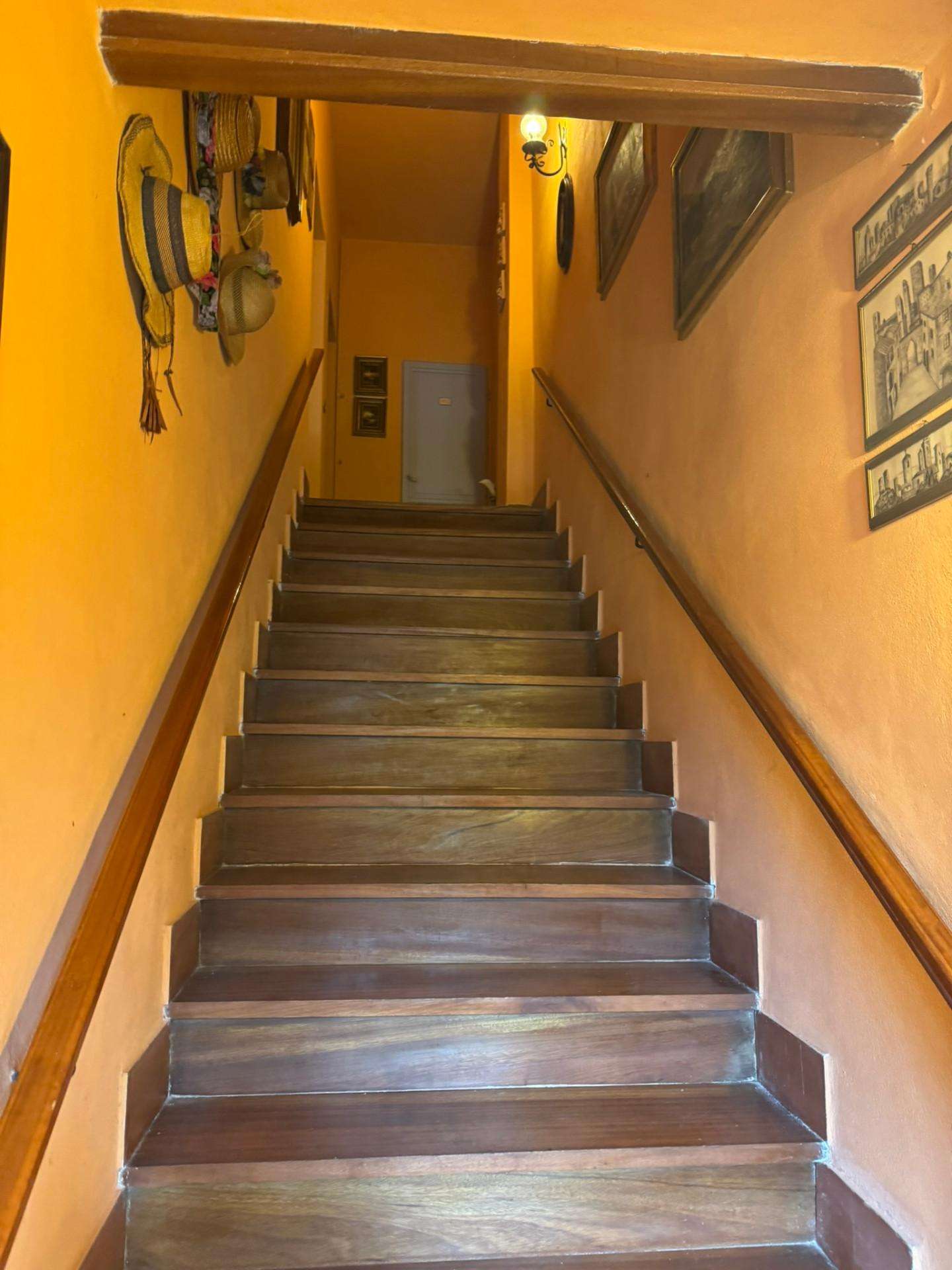  - foto 31