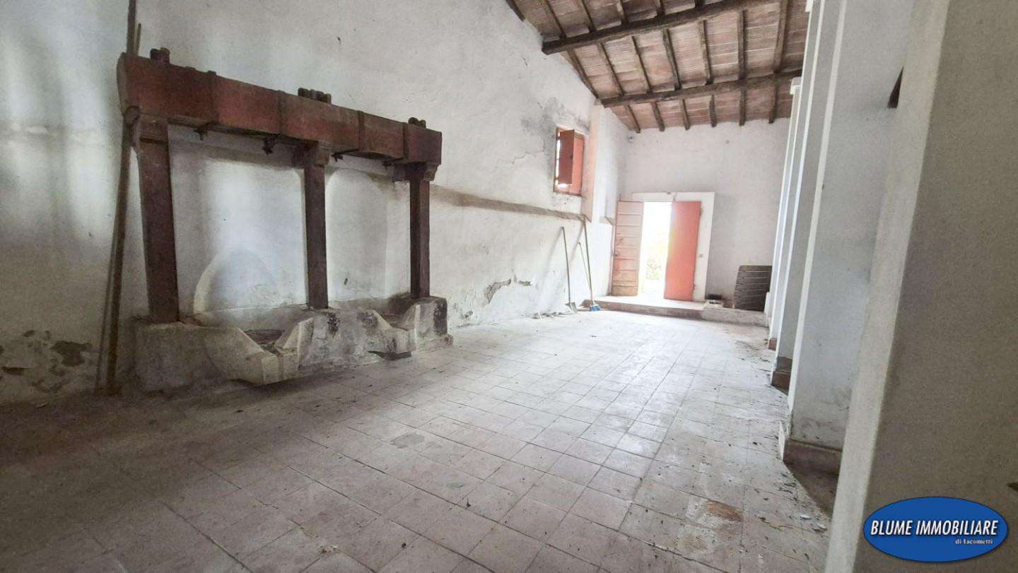  - foto 11