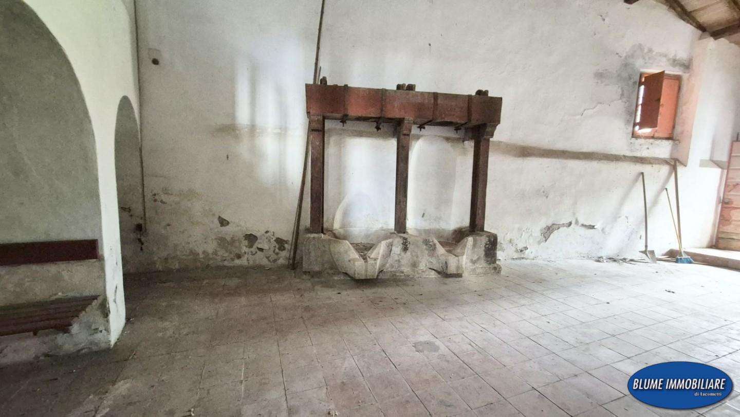  - foto 12