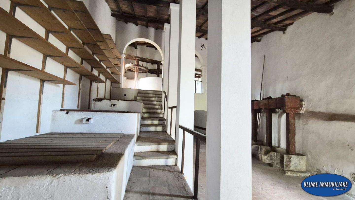  - foto 22
