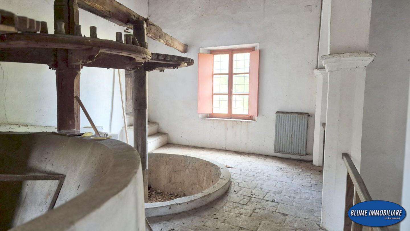  - foto 26