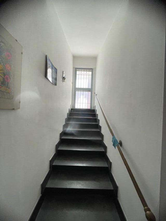 - foto 30