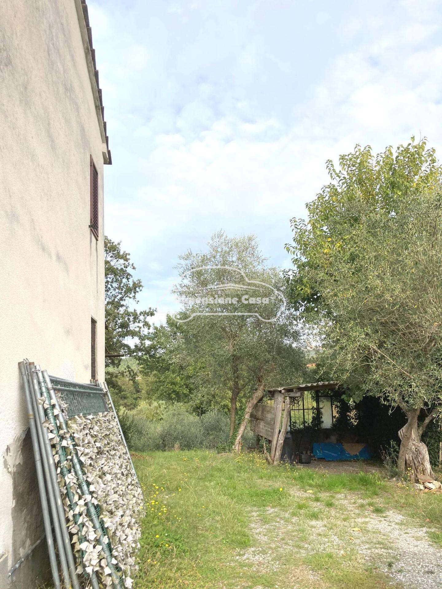  - foto 11