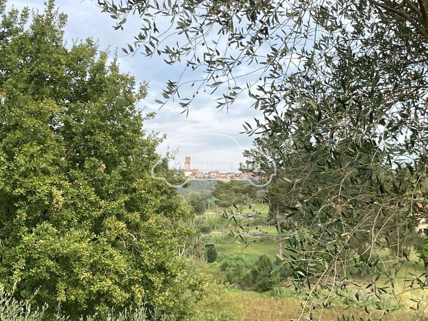  - foto 12