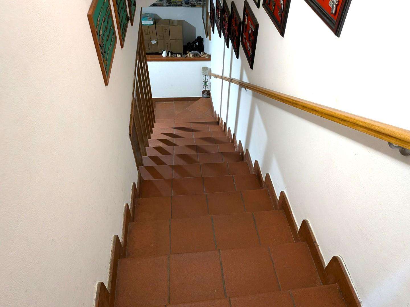  - foto 65