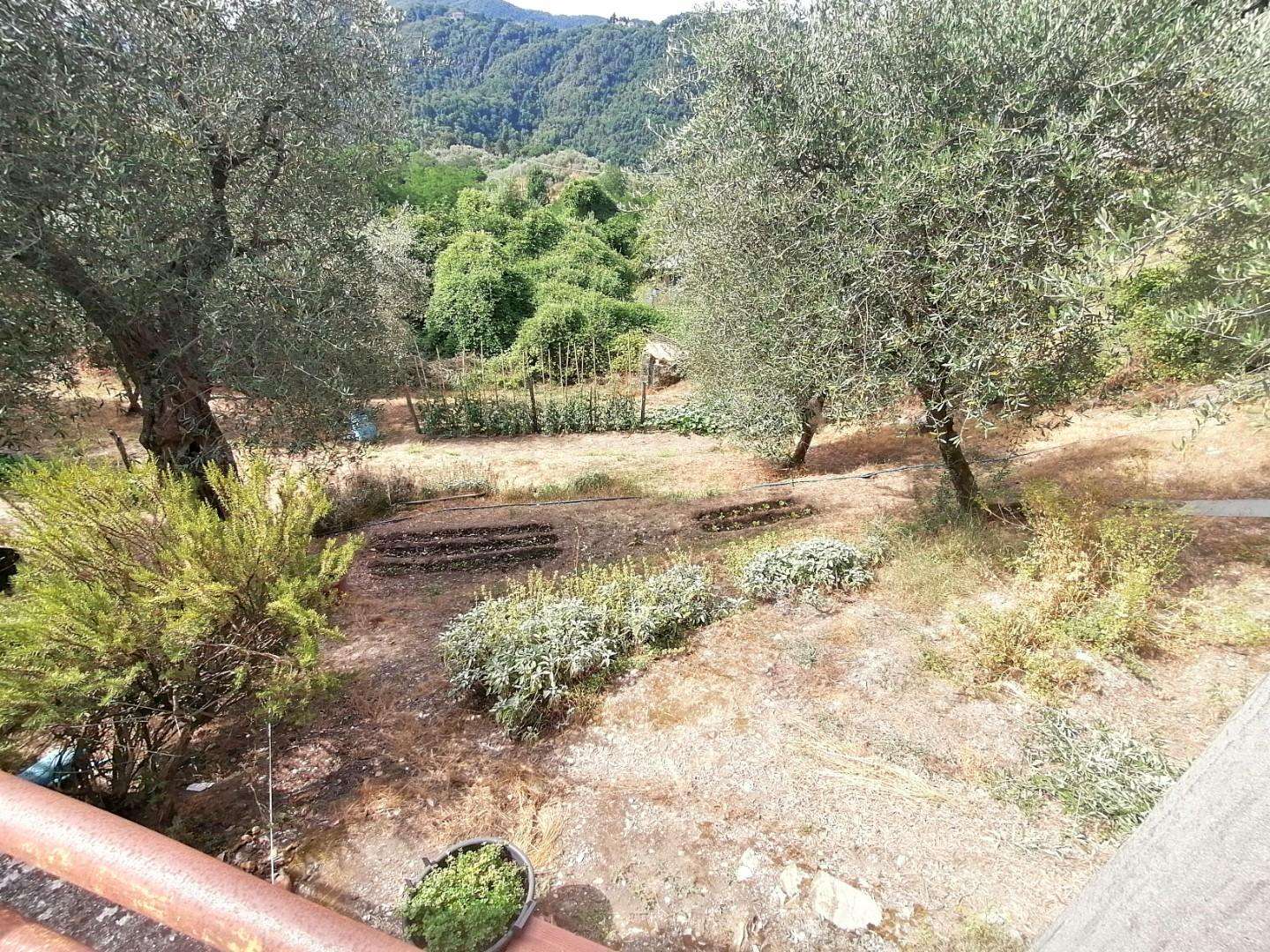  - foto 5