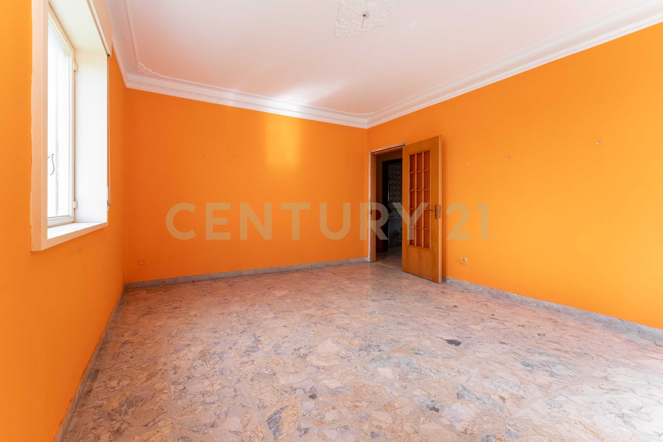  - foto 42