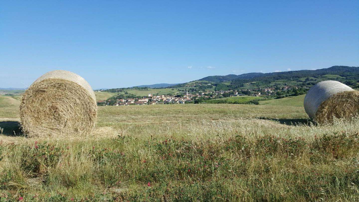  - foto 13