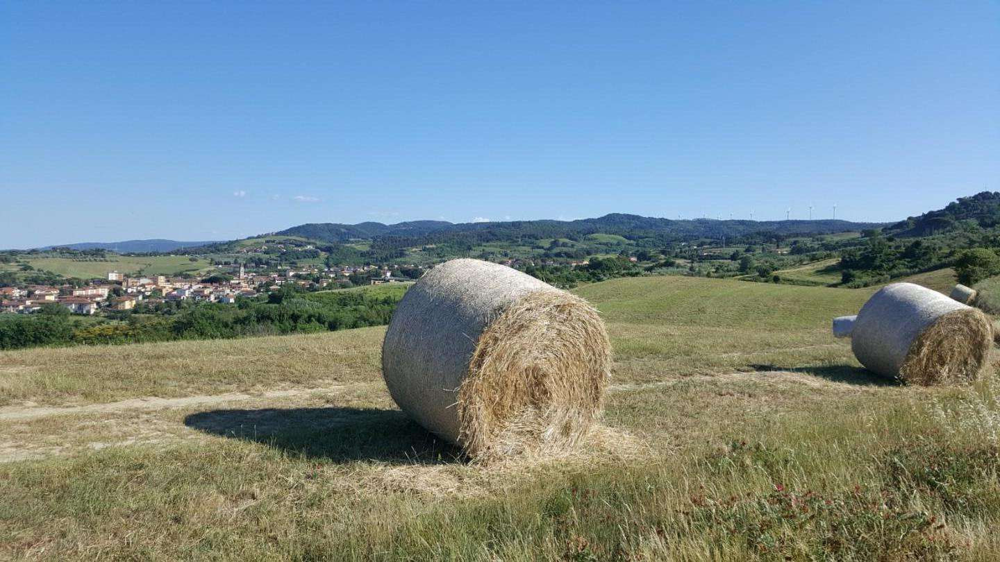  - foto 17