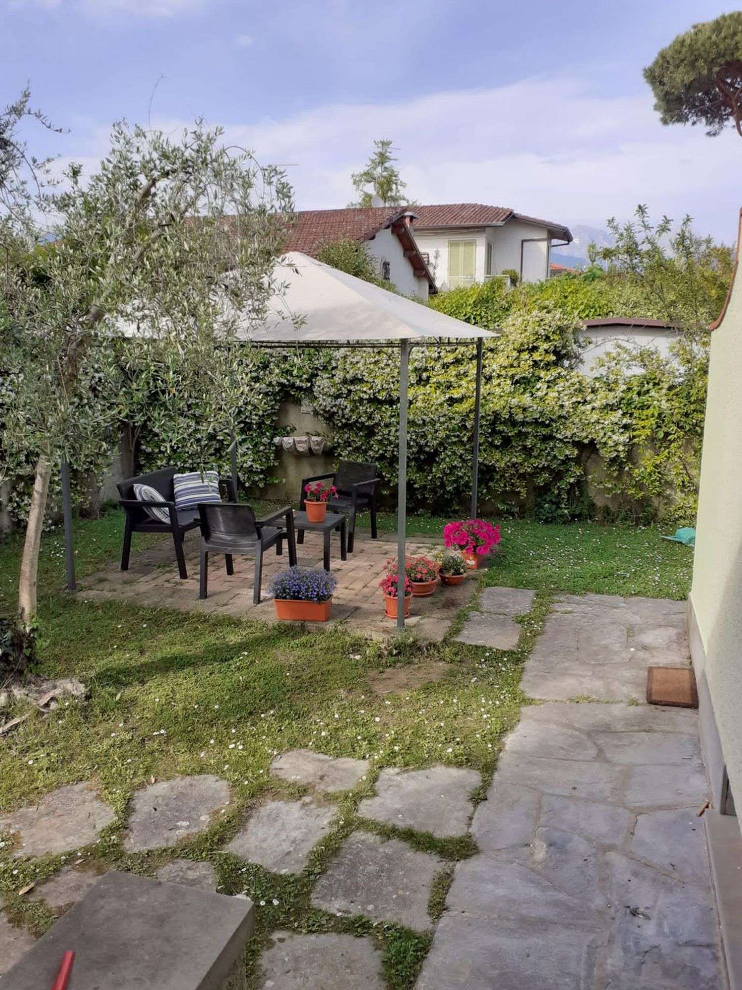  - foto 26