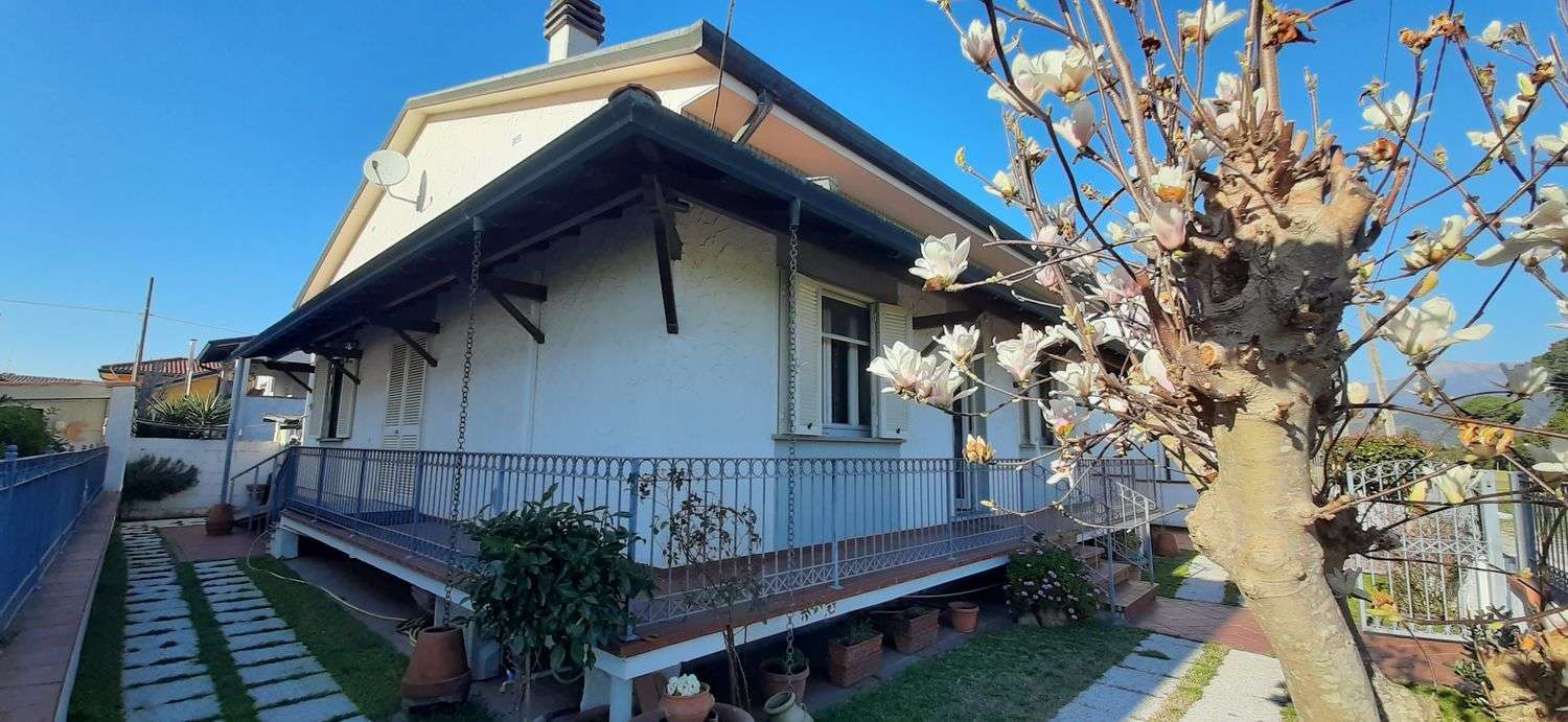  - foto 13