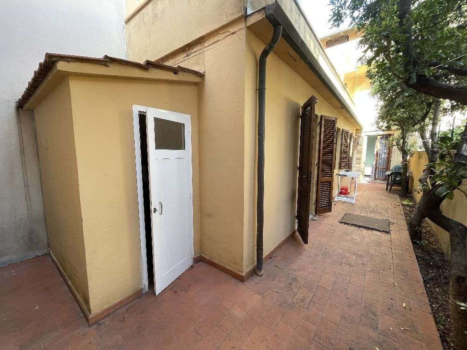  - foto 11
