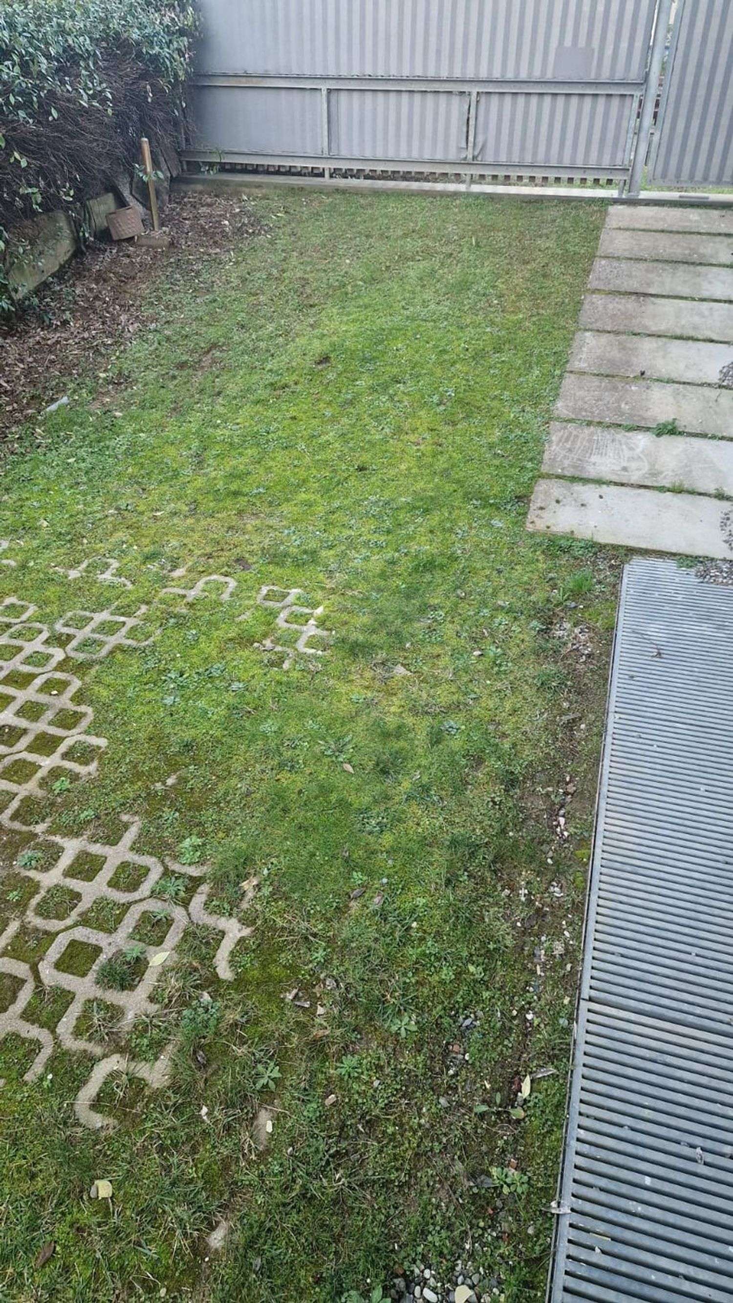  - foto 13