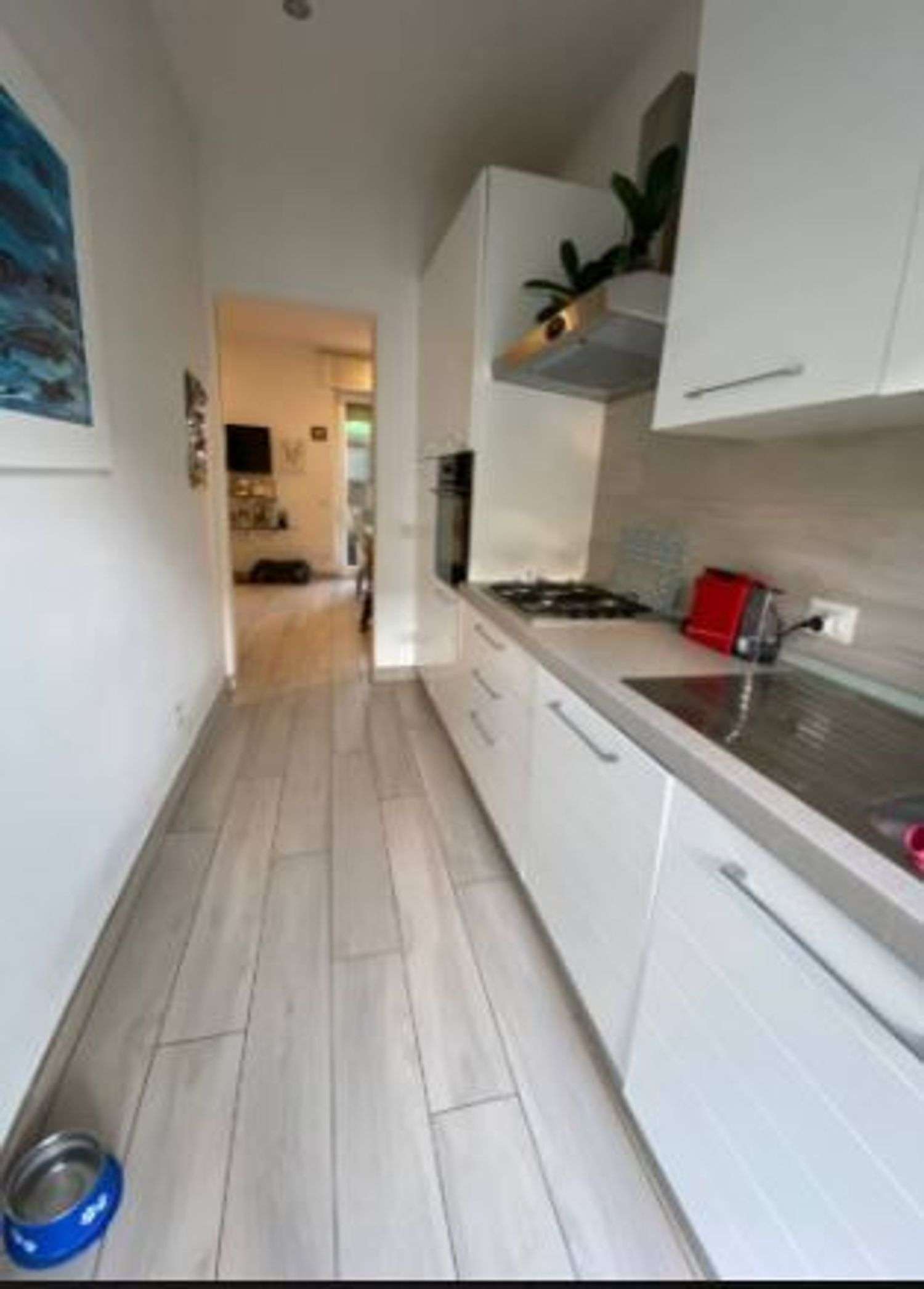  - foto 5
