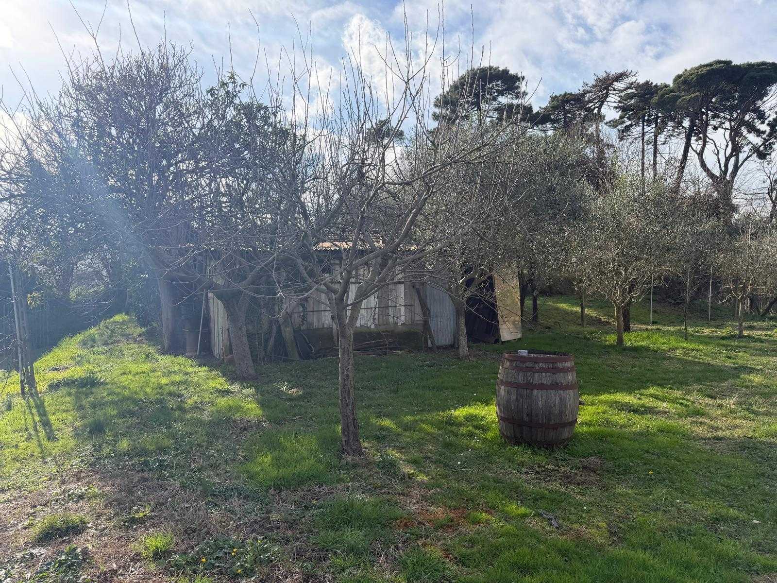  - foto 19