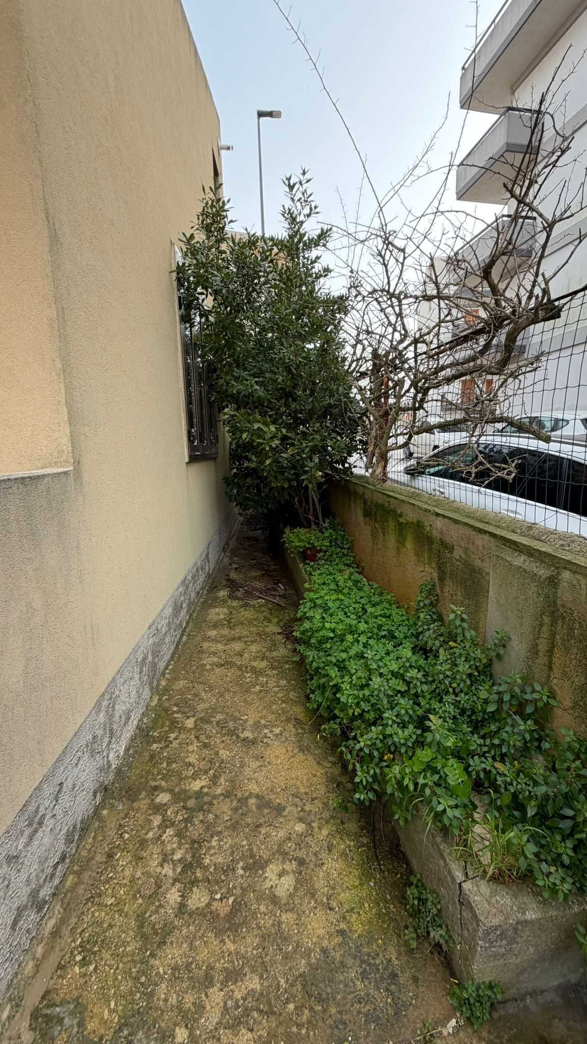  - foto 15
