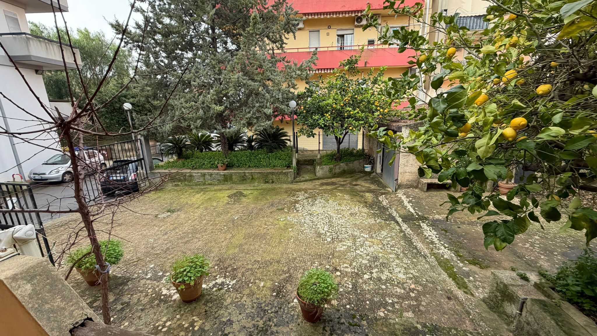  - foto 16