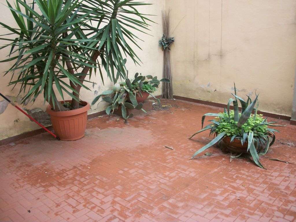  - foto 6