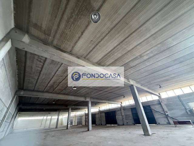  - foto 11