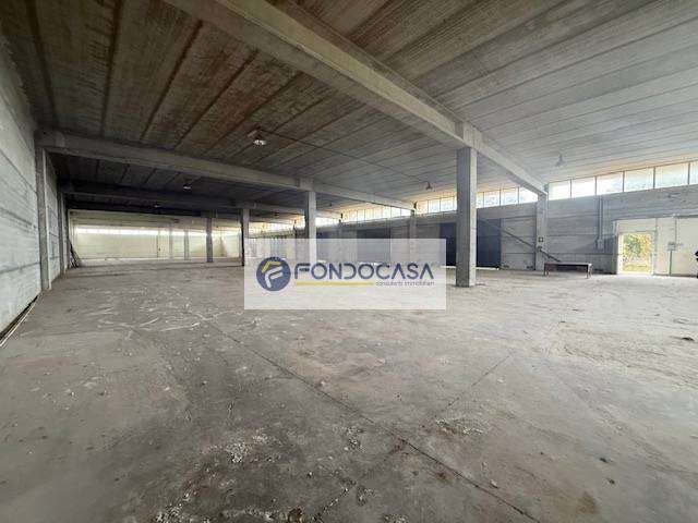  - foto 12