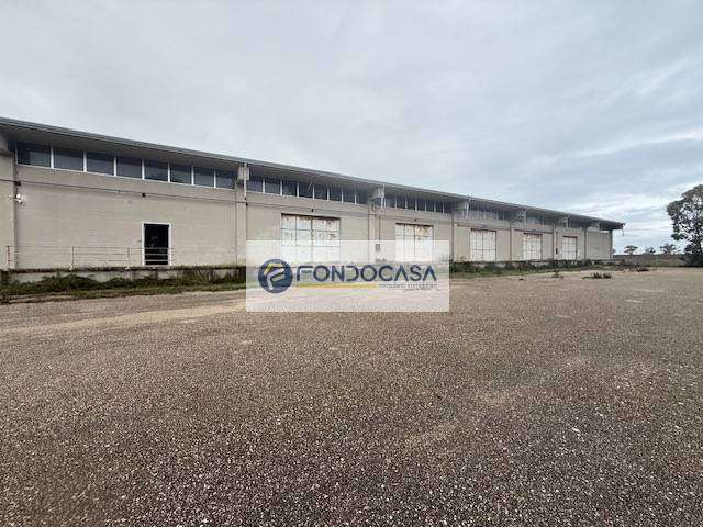  - foto 6
