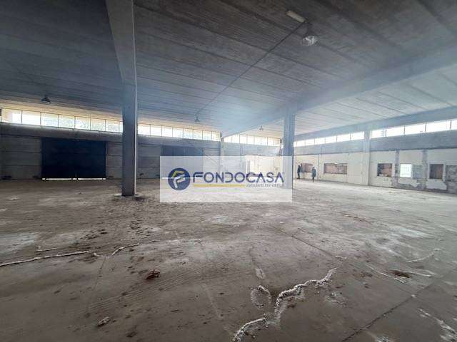  - foto 9