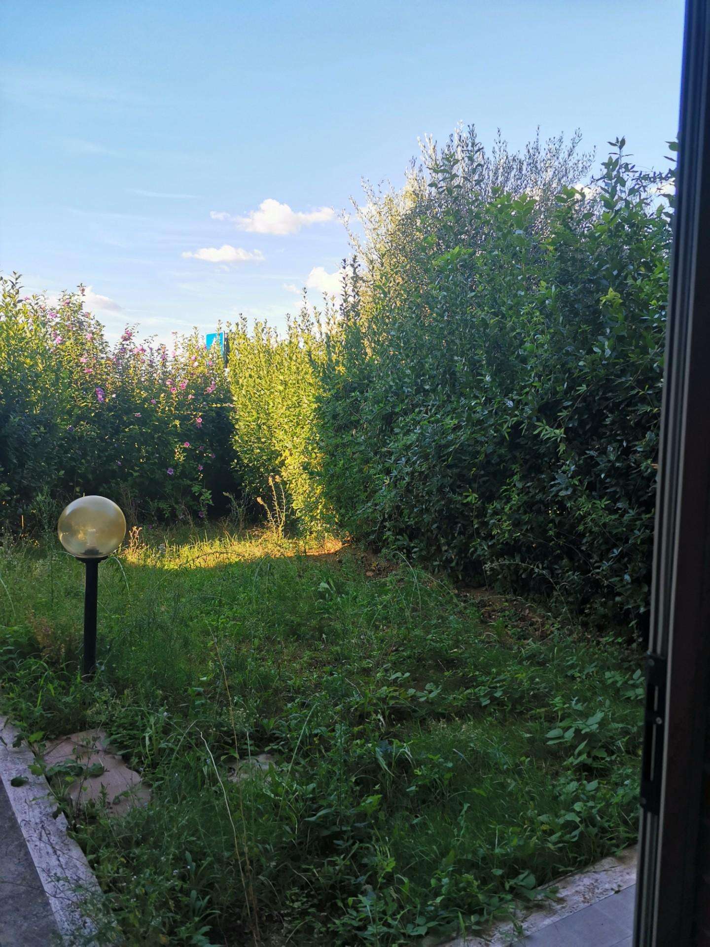  - foto 36