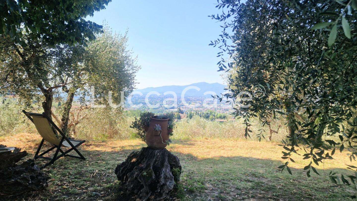  - foto 40