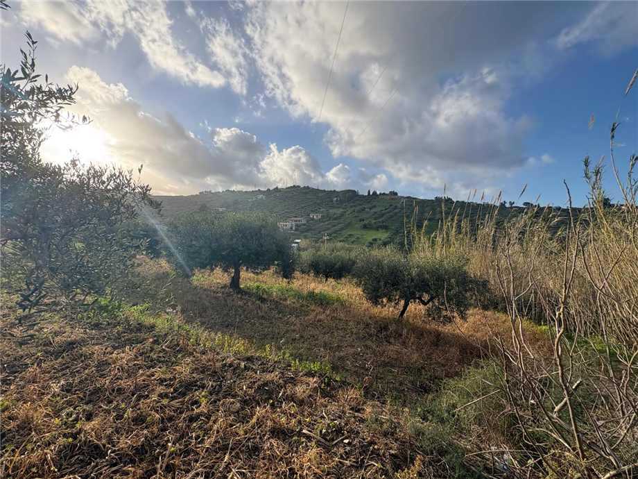 Terreno edificabile Loc. Contrada Ciandro, Casteldaccia