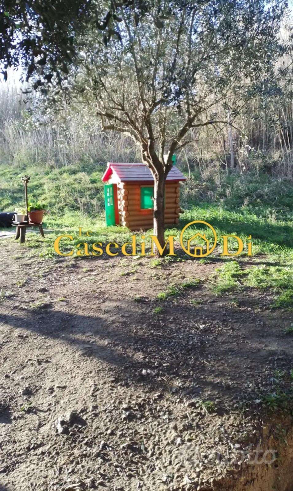  - foto 4