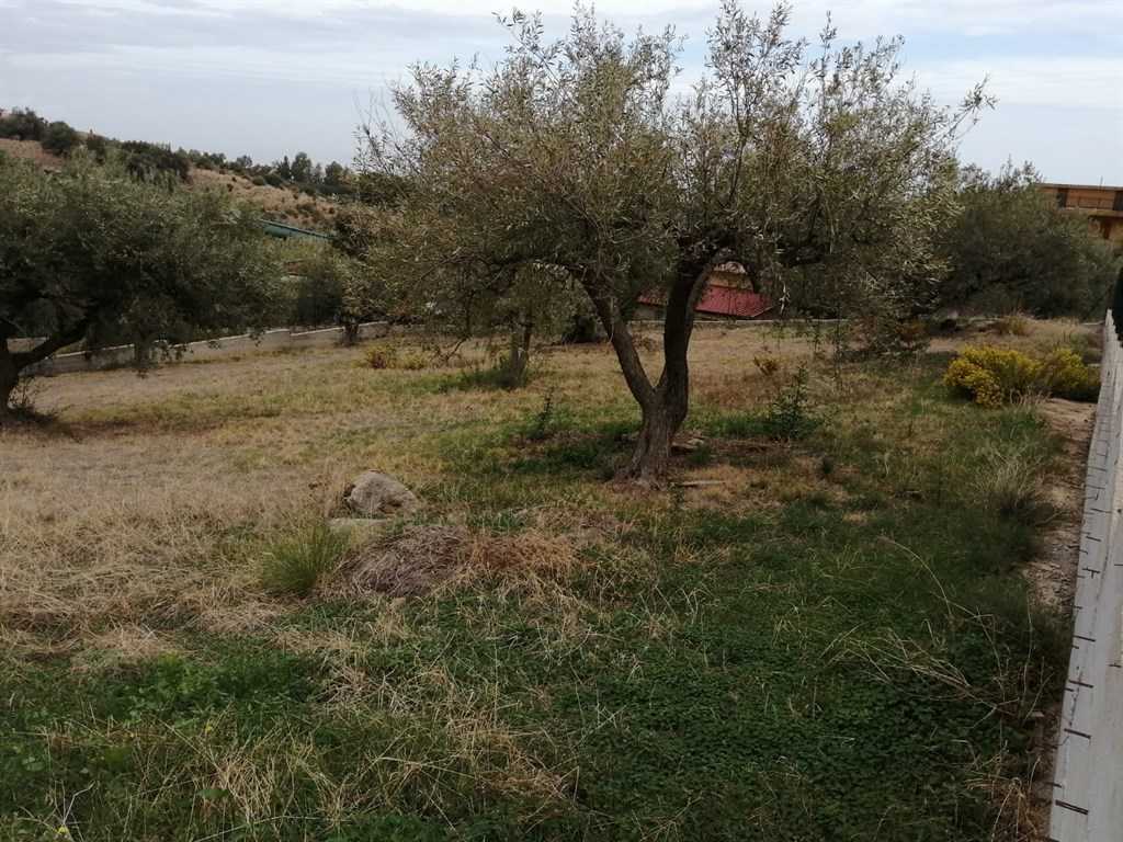 Terreno edificabile C.da Salina, Trabia