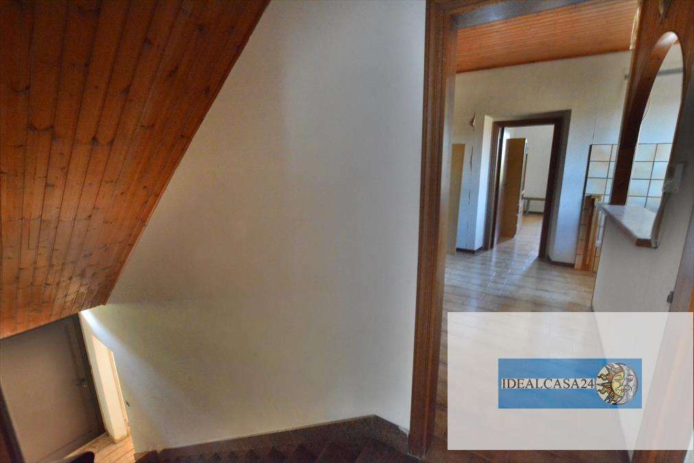  - foto 22