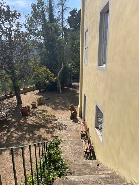  - foto 31