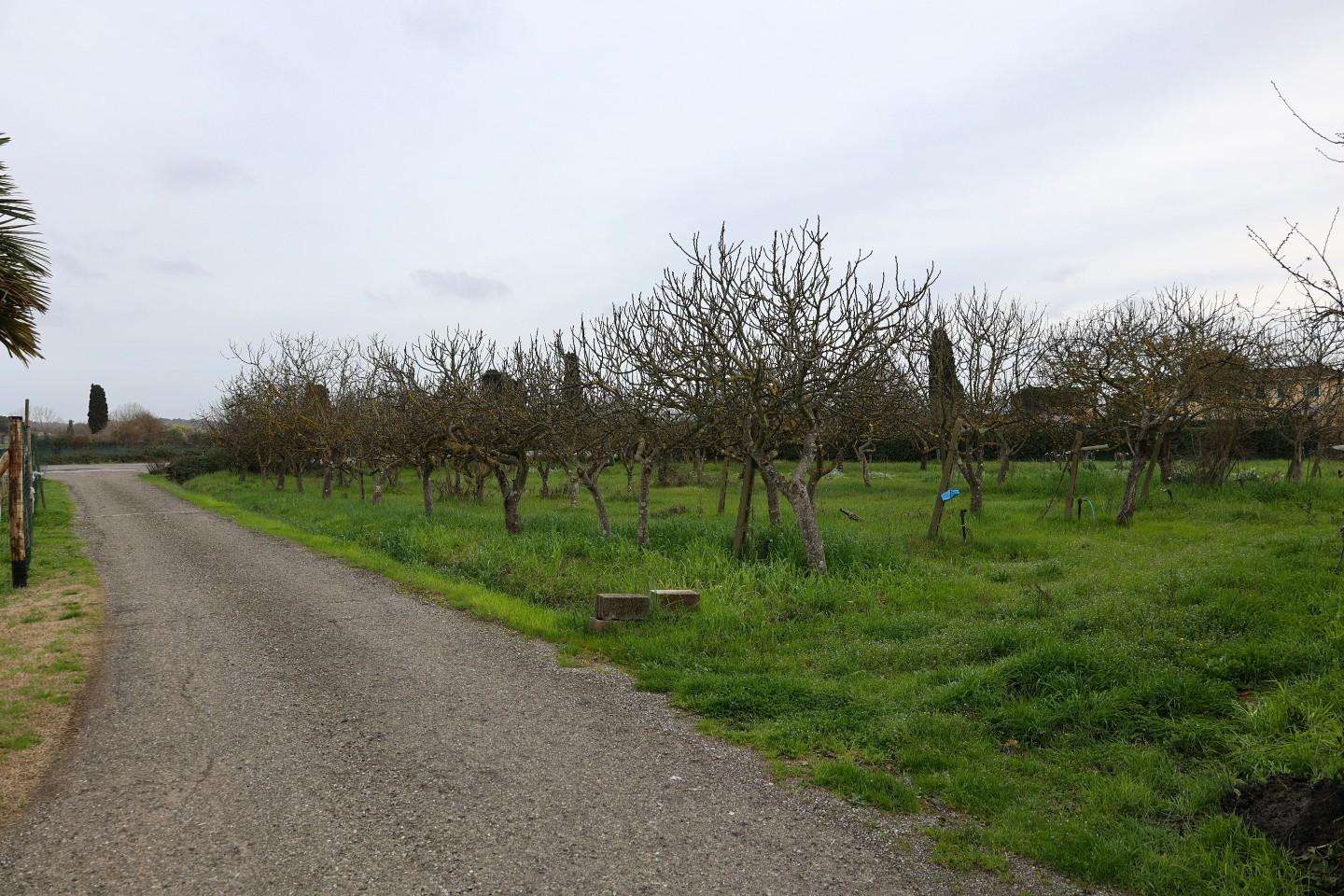  - foto 23