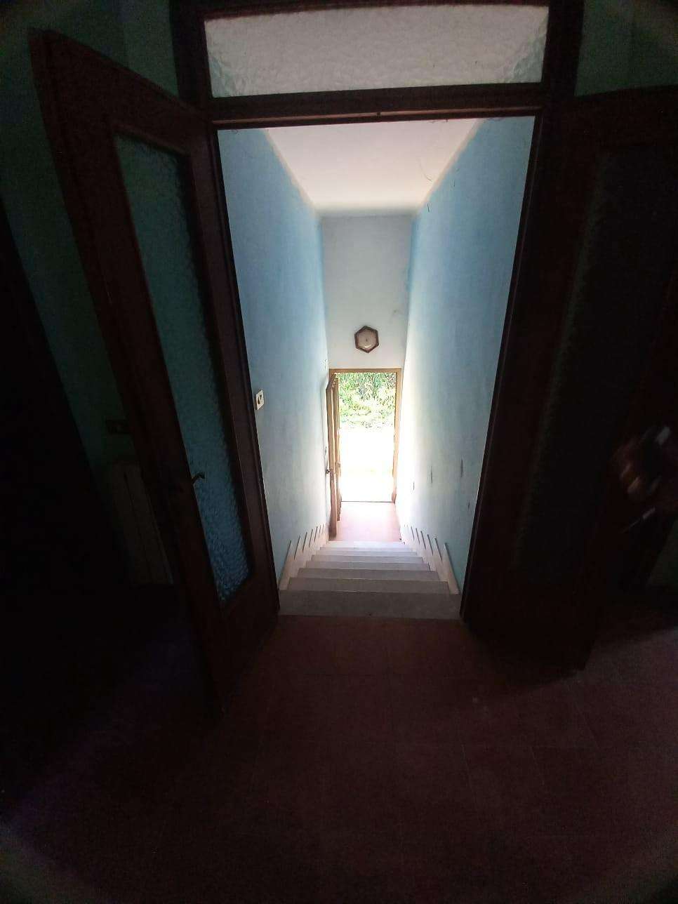  - foto 9