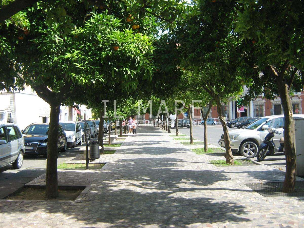  - foto 12