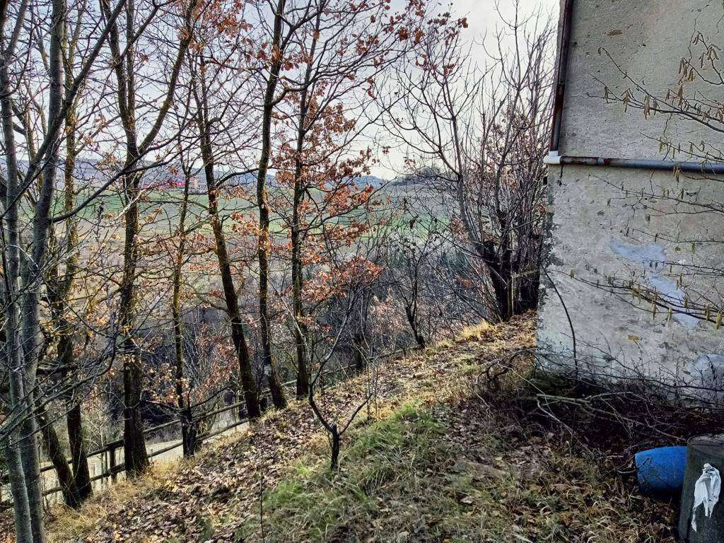  - foto 12