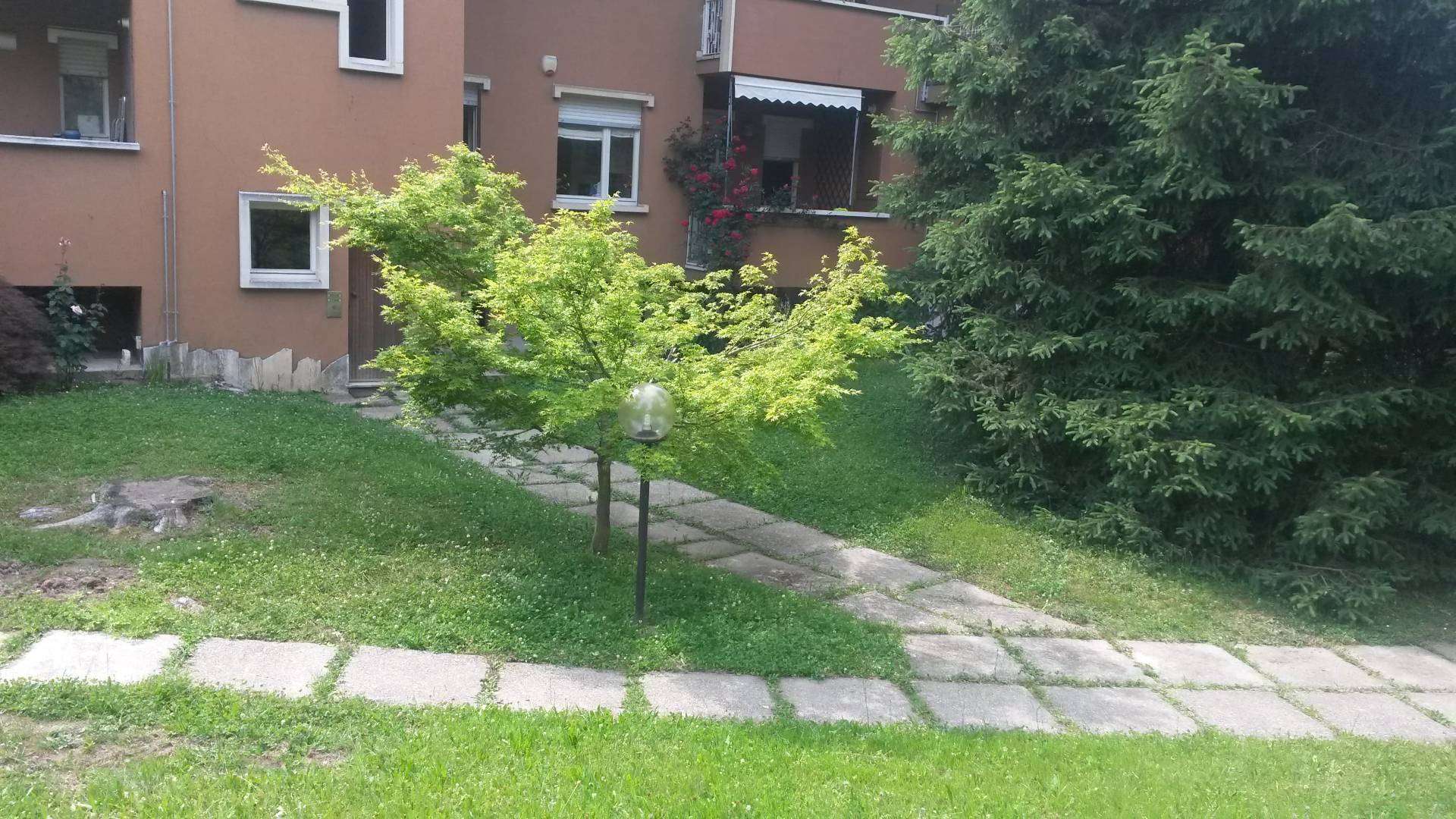  - foto 44