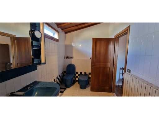  - foto 23
