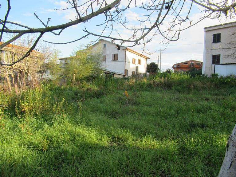  - foto 4