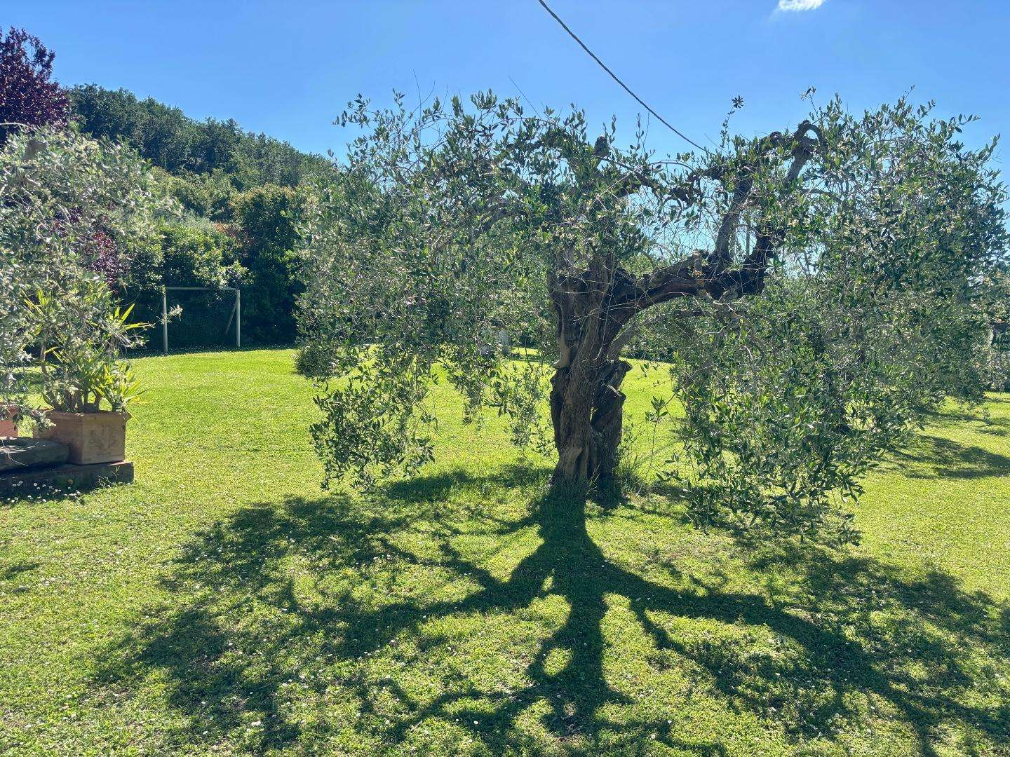 - foto 61