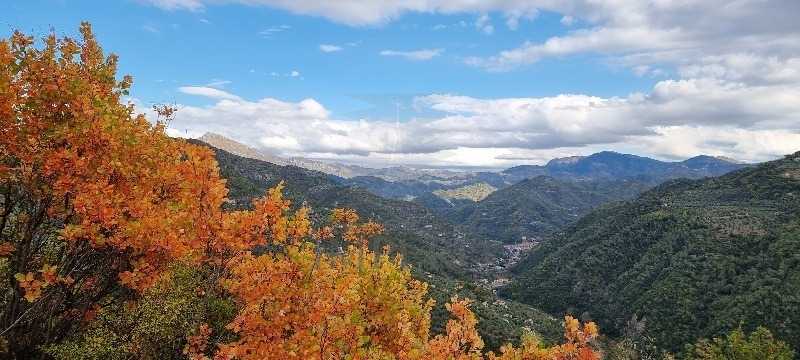  - foto 19