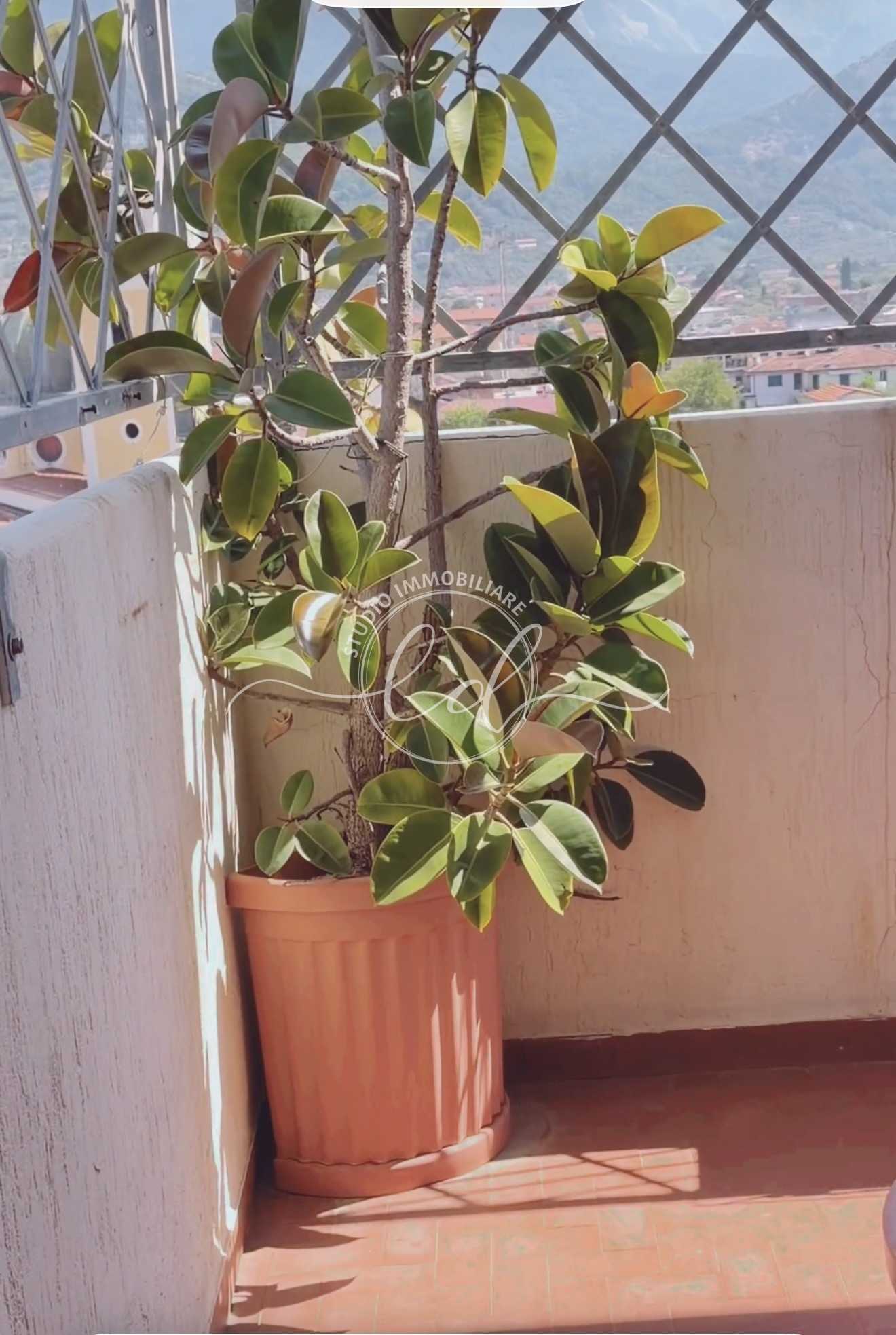  - foto 52
