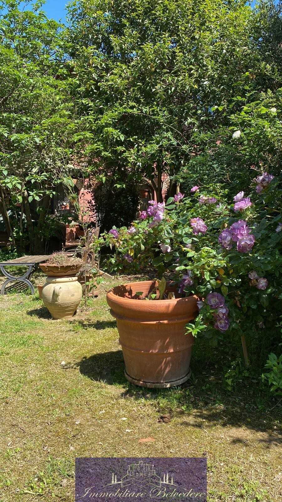  - foto 37