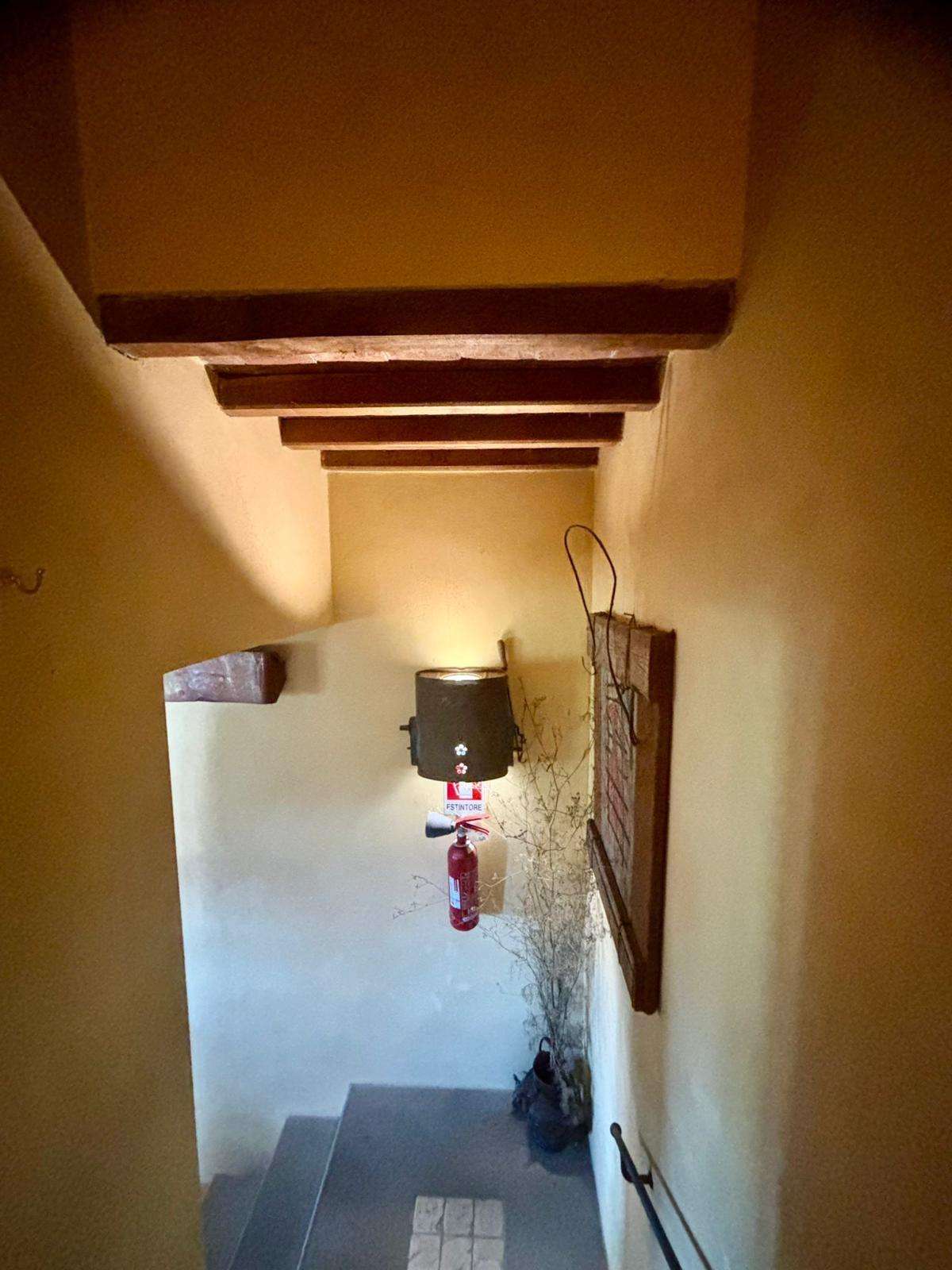  - foto 41