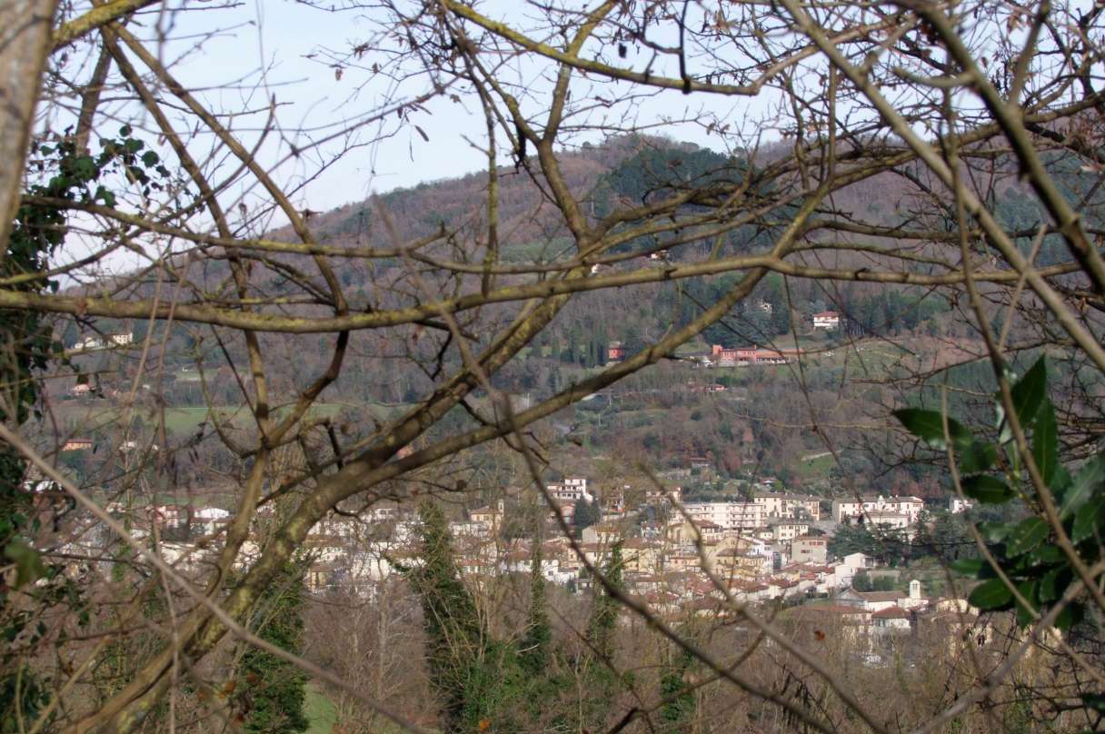  - foto 22