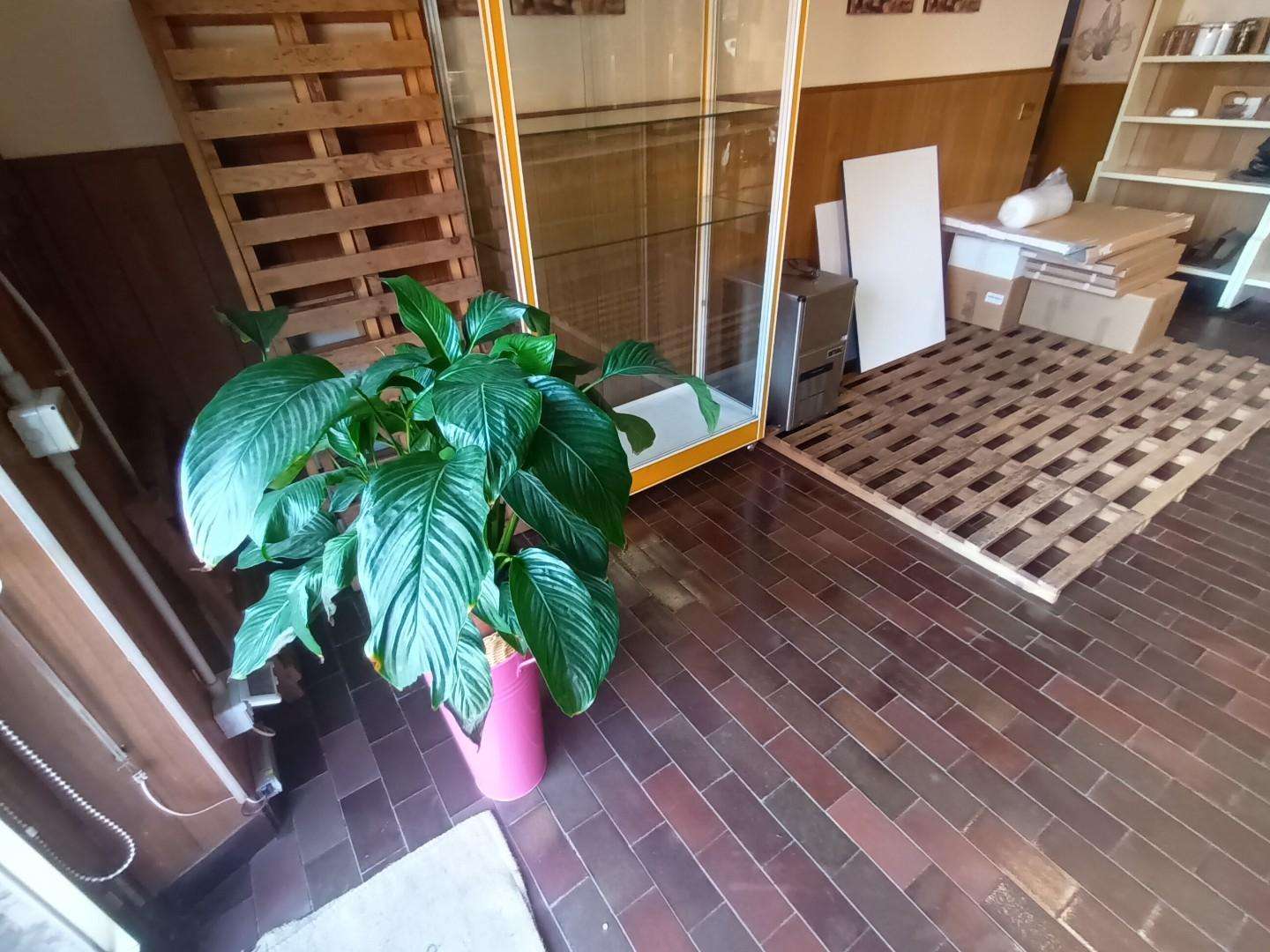  - foto 16