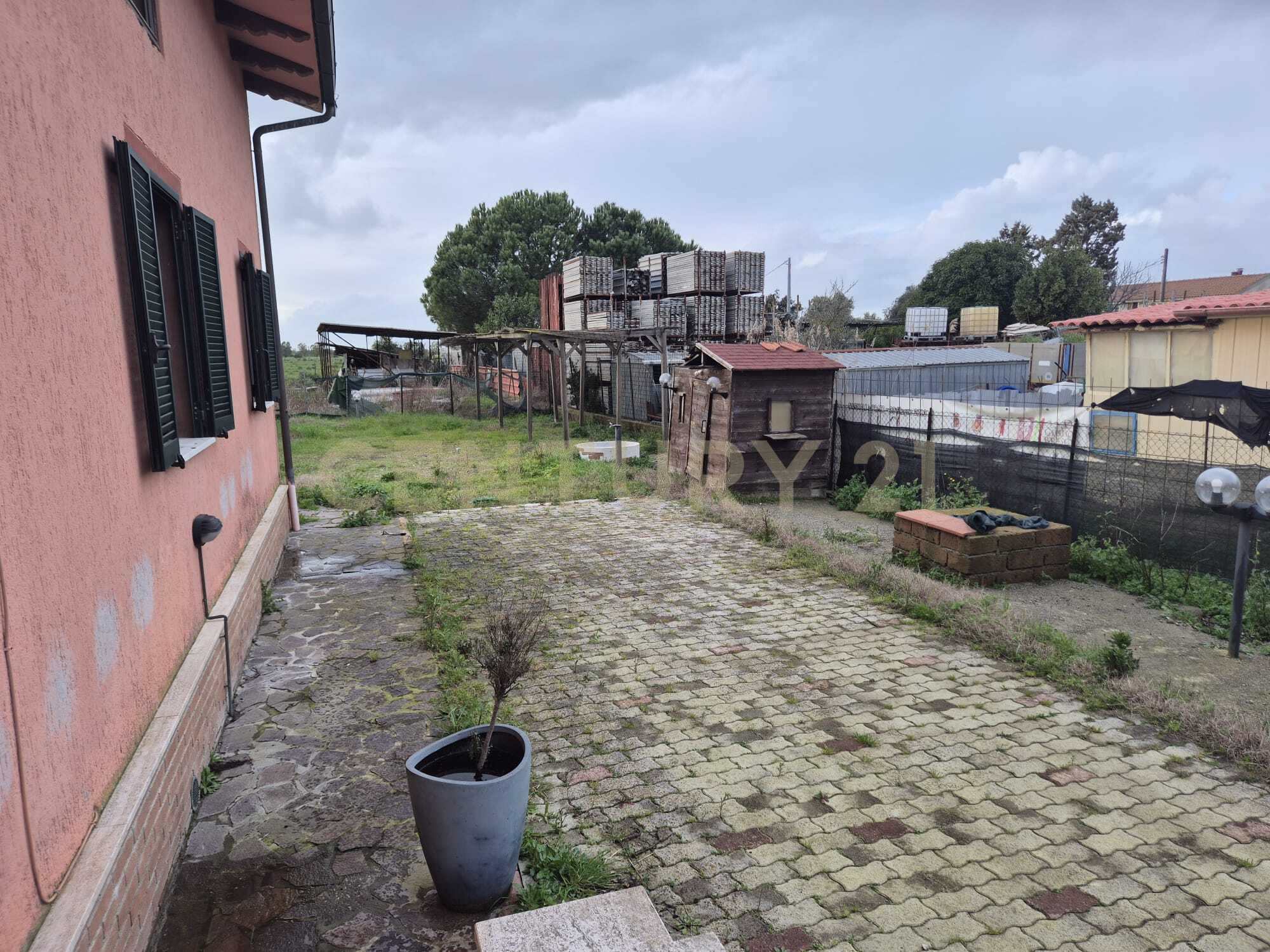  - foto 44