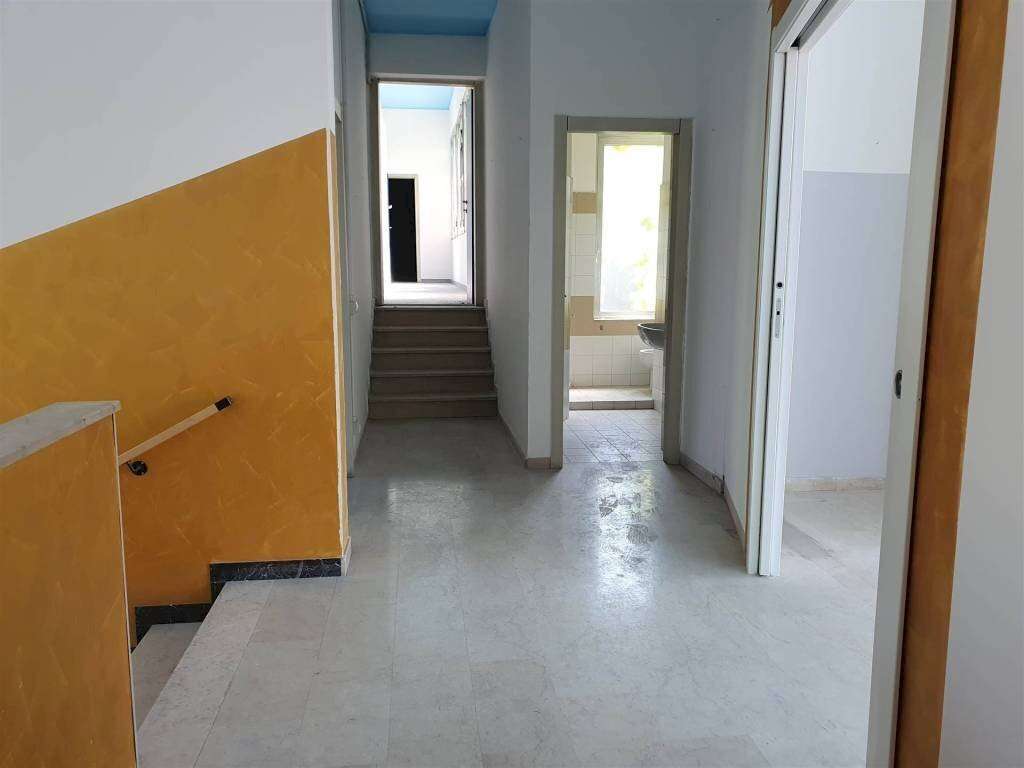  - foto 11