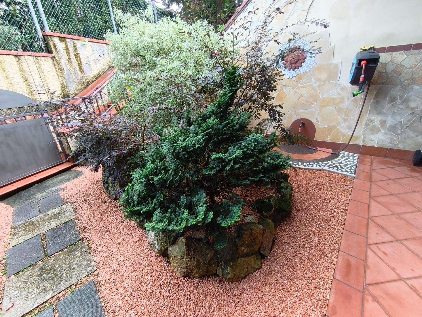  - foto 31